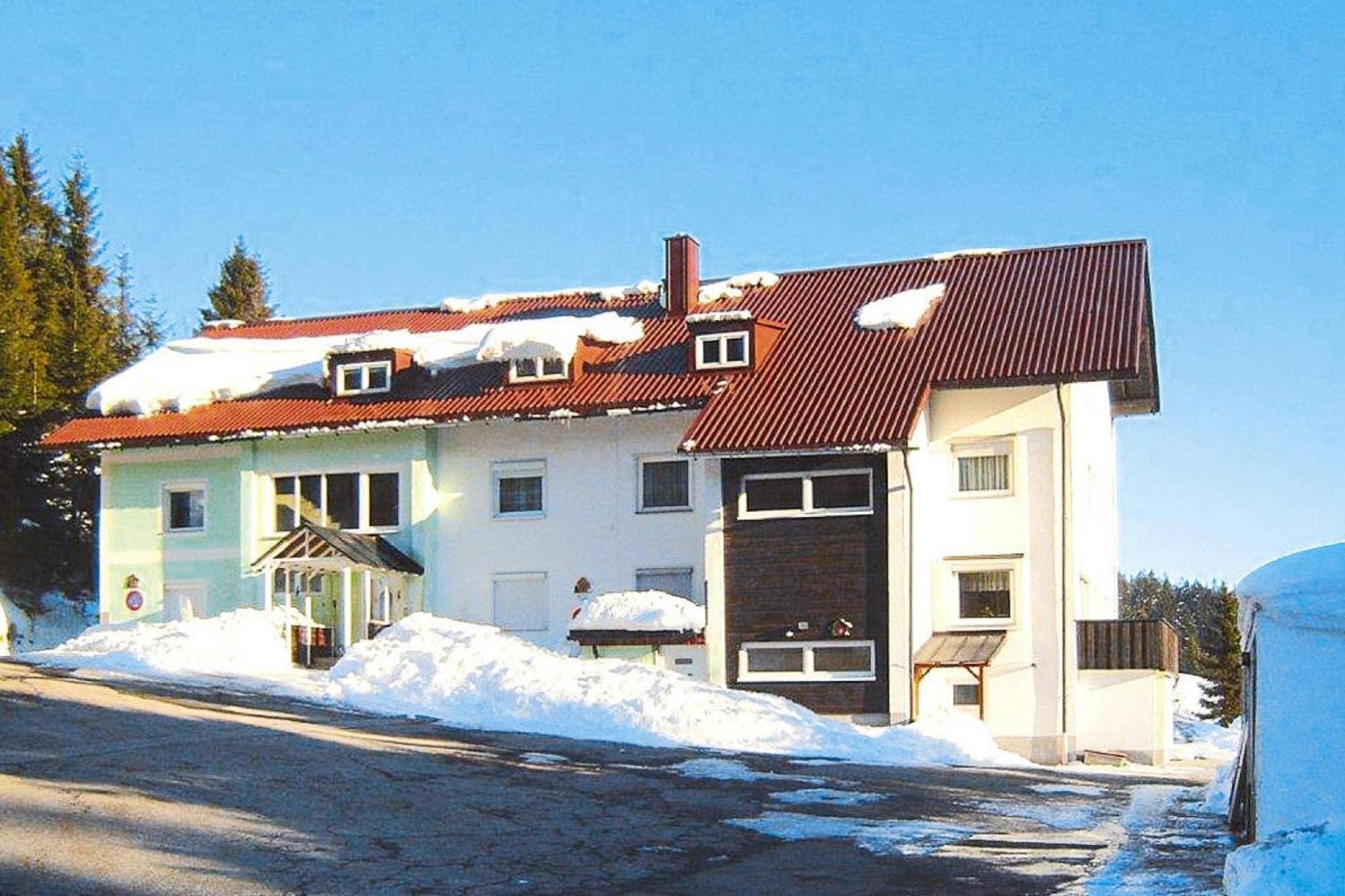 Apartment In Haidmuehle With Balcony Or Terrace Haidmühle Exterior foto